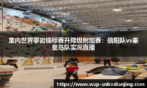 室内世界攀岩锦标赛升降级附加赛：信阳队vs秦皇岛队实况直播
